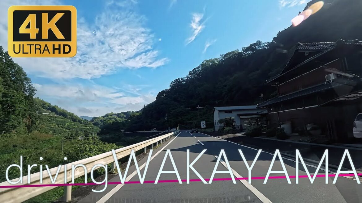 【4K】Driving Japan Wakayama 和歌山県伊都郡かつらぎ町星山～窪ドライブ（Insta360AcePro）