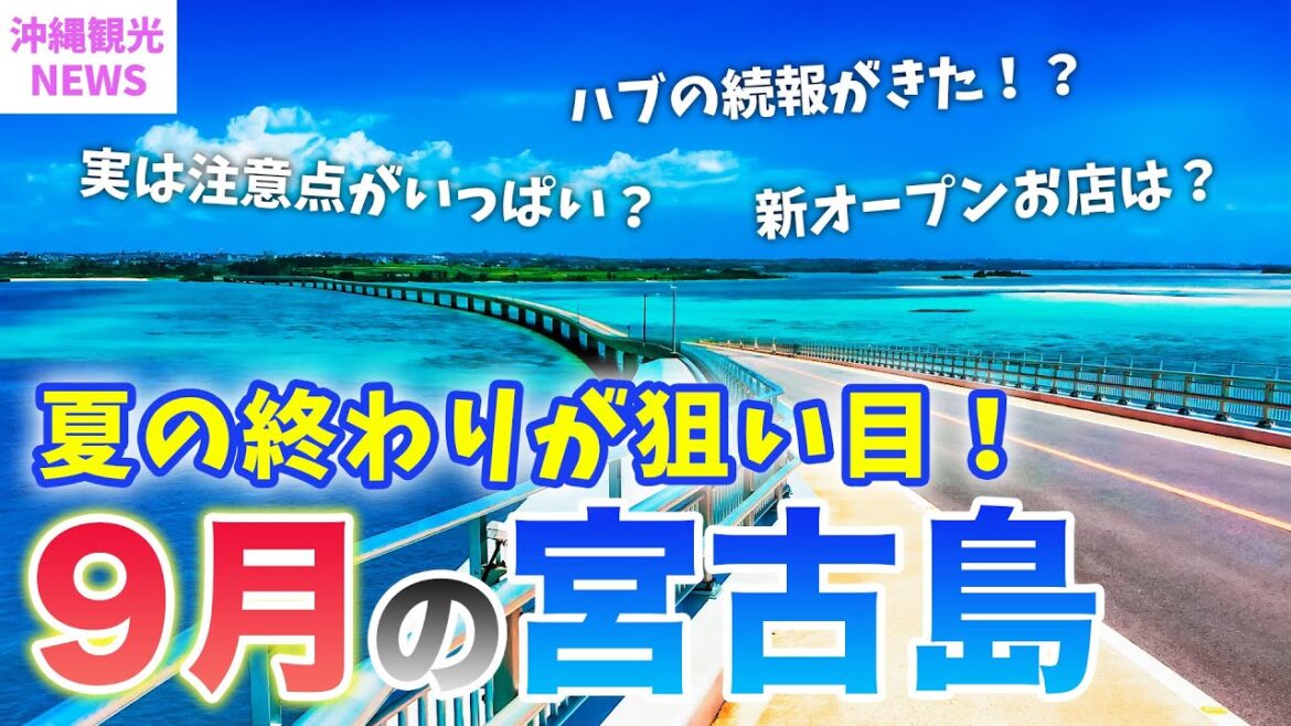 【９月の宮古島】旅行前必見💡真夏の宮古島を格安で楽しめるベストシーズン？！2024年最新基本情報まとめ／天気・台風・混雑状況・服装・最新グルメや注意点もまとめて紹介⚠️