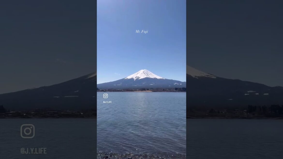 Mt. Fuji - March 2024 #travel  #japan #mtfuji  #sakura #sakurajapan