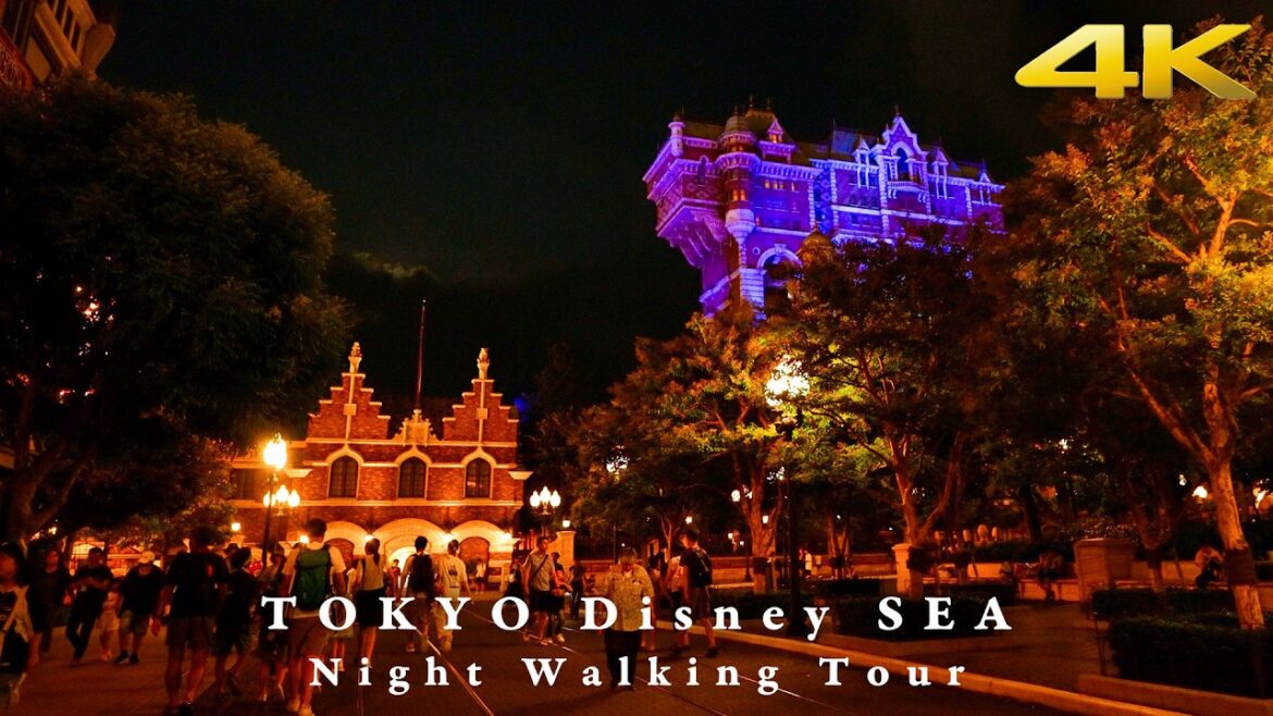 [4K TOKYO WALK] 高感度カメラで夜の東京ディズニーシーを一周散歩 Tokyo Disney Sea Night Walking Tour