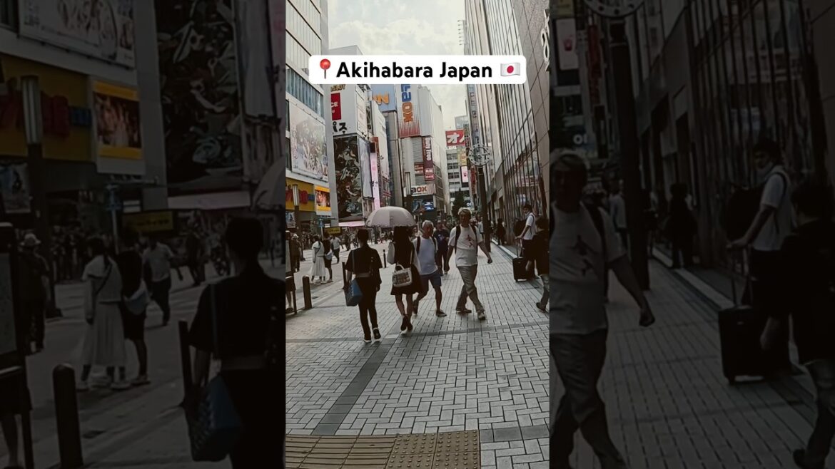 Japan’s Anime Central #japan #anime #tokyo #travel #shorts #youtubeshorts #vacation #explore #tokyo