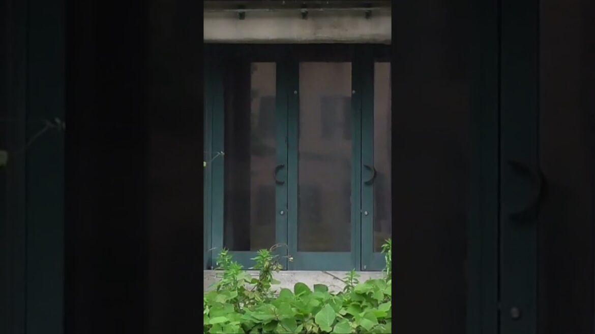 小樽運河　北海道　 #shorts   #hokkaido  #北海道 　#新日本海フェリー　#らいらっく　#すいせん　＃すずらん　＃はまなす　#otaru  #小樽　#小樽運河　＃Japan