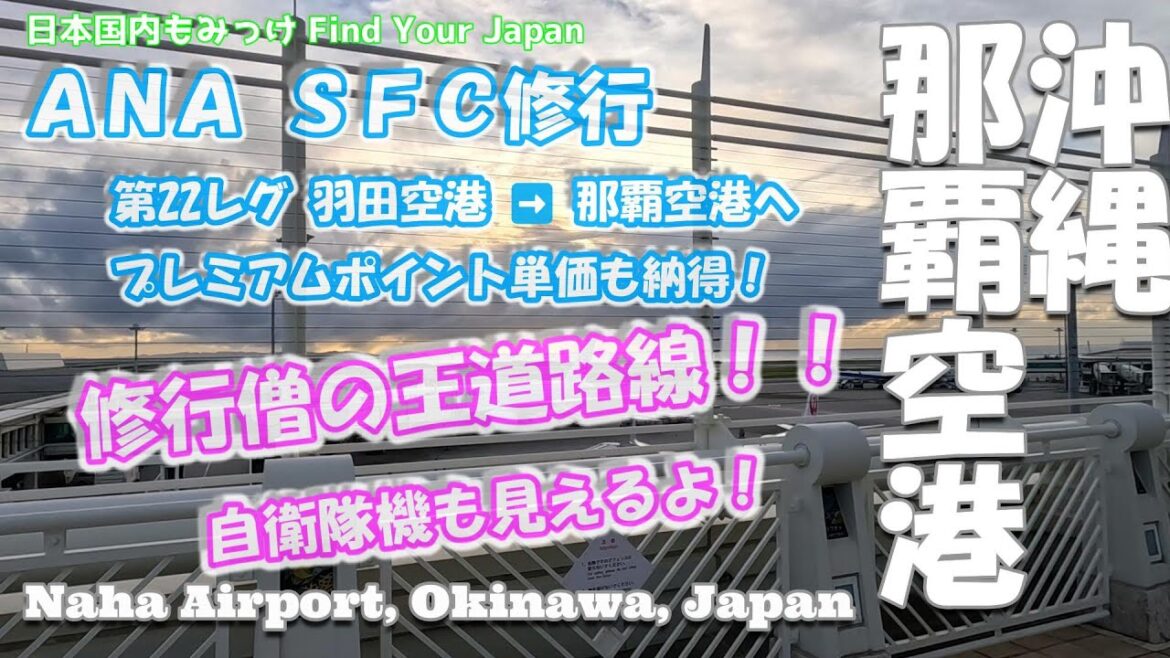 [沖縄那覇空港] ANA SFC修行 第22レグ 羽田空港から那覇空港へ、プレミアムポイント単価も納得！修行僧の王道路線！自衛隊機も見えるよ！日本国内もみっけ Find Your Japan 78