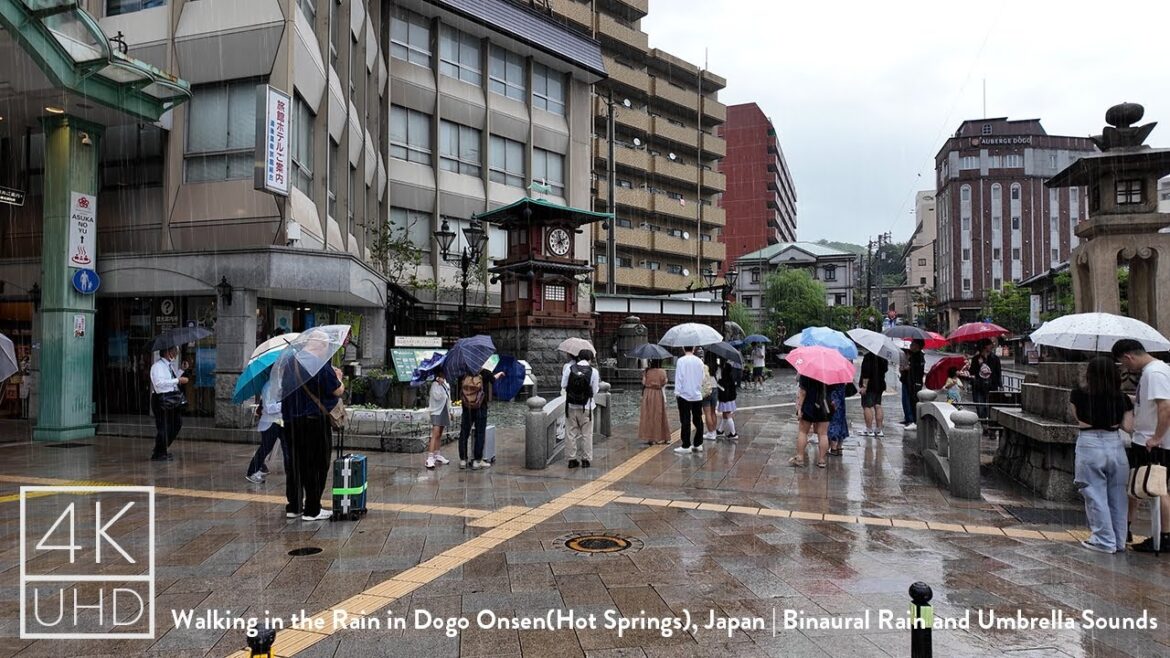 Walking in the Rain at Dogo Onsen(Hot Springs), Japan | Binaural Rain and Umbrella Sounds | 4k ASMR Walking in the Rain at Dogo Onsen(Hot Springs), Japan | Binaural Rain and Umbrella Sounds | 4k ASMR