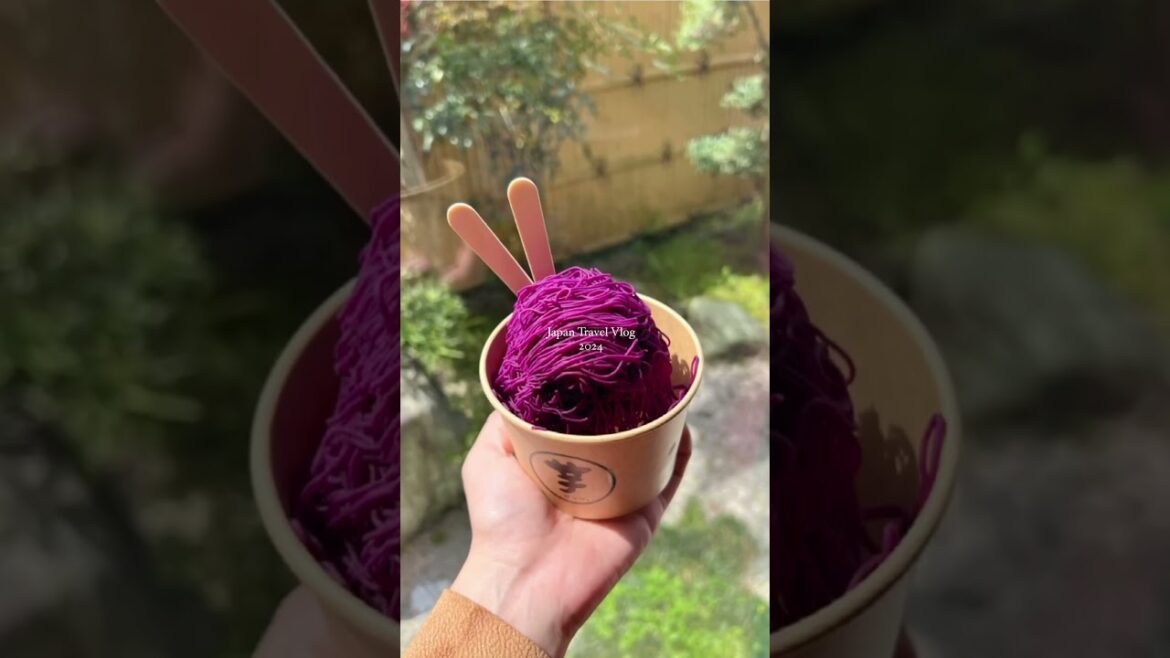 14 Days in Japan: 🌸⛄️Discover Japan’s Winter and Spring Magic in Just Two Weeks 🇯🇵 14 Days in Japan: 🌸⛄️Discover Japan's Winter and Spring Magic in Just Two Weeks 🇯🇵