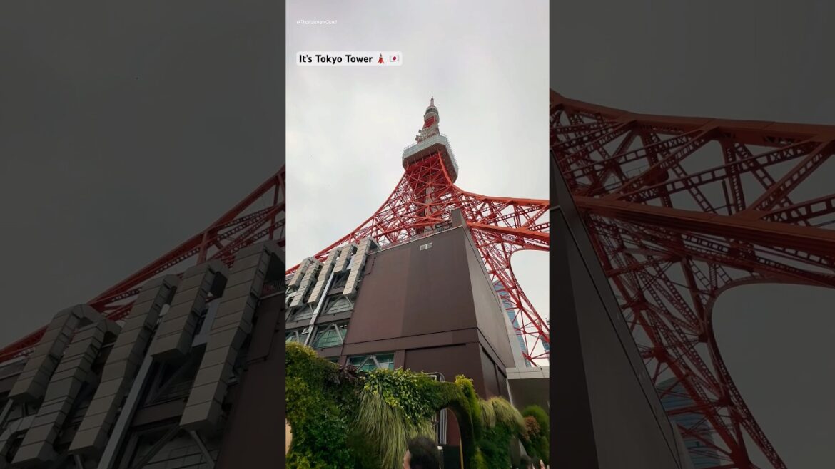 The orange Eifel tower ?😳 it’s Tokyo tower in Japan 🇯🇵 #shorts #travel #japan #tokyo