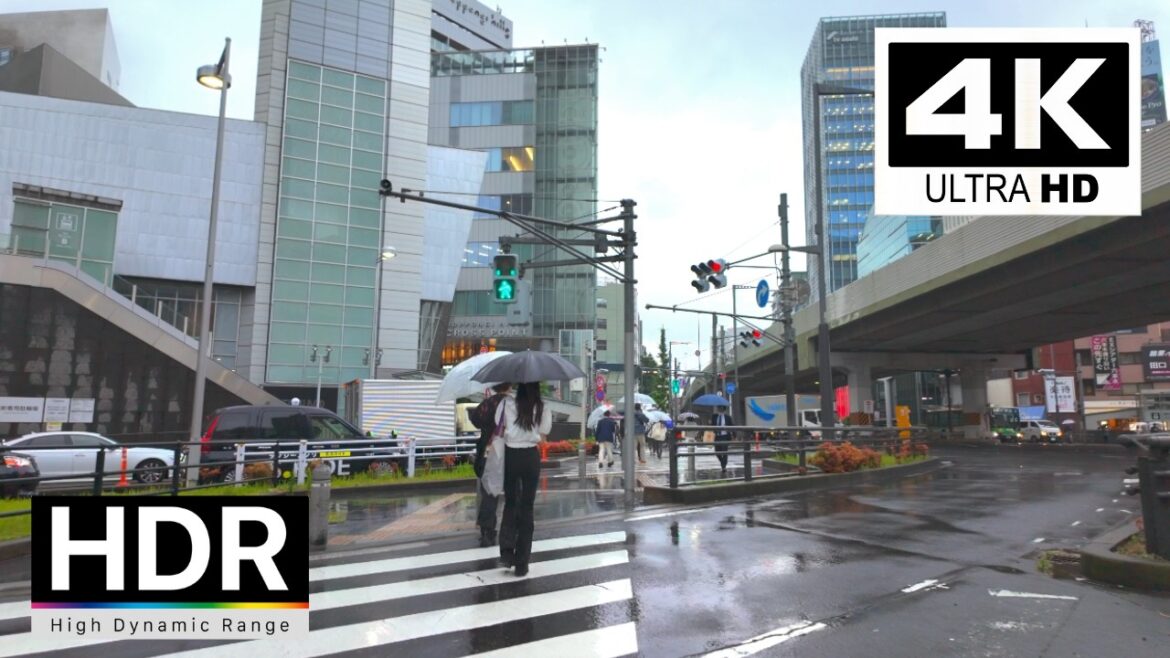 Tokyo 2024 Roppongi 4K Raniy Street Walk, Japan Walking Tour｜4K HDR 60fps