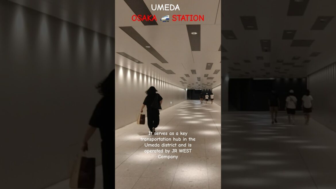 OSAKA 🚅 STATION 🇯🇵 a MODERN TRANSIT Hub