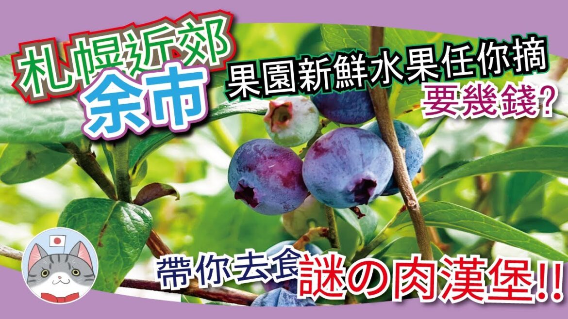 【札幌近郊攻略】任摘新鮮生果農場介紹 | 特色罕有謎之漢堡 | 親親大自然余市半日遊【北海道夏日活動】