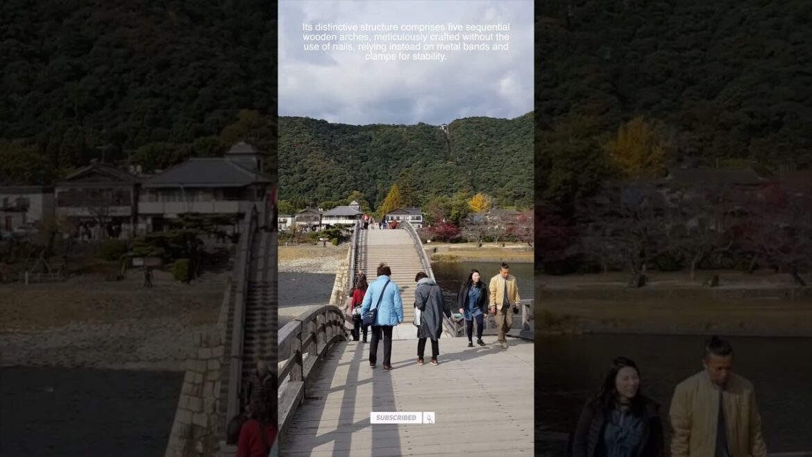 Japan - Yamaguchi Prefecture - Iwakuni - Kintaikyo Bridge (2)