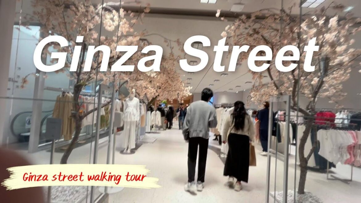 Ginza Street Night Walking Tour Part 2گنزا اسٹریٹ نائٹ واکنگ ٹور   गिन्ज़ा स्ट्रीट नाइट वॉकिंग टूर 2