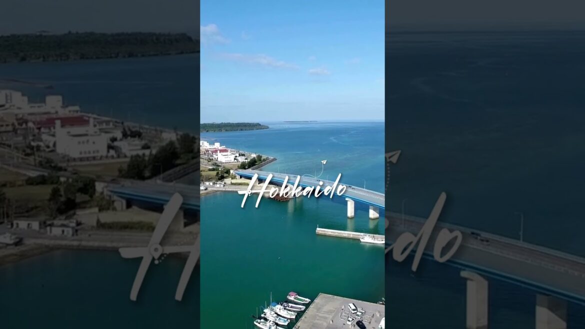 Top 10 Must-Visit Places in Japan #japan #japanese #traveling #adventuretravel #asia Top 10 Must-Visit Places in Japan #japan #japanese #traveling #adventuretravel #asia