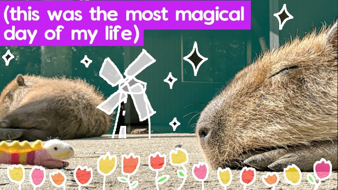 Nagasaki Biopark + Huis Ten Bosch – Relaxing Travel Video Nagasaki Biopark + Huis Ten Bosch - Relaxing Travel Video