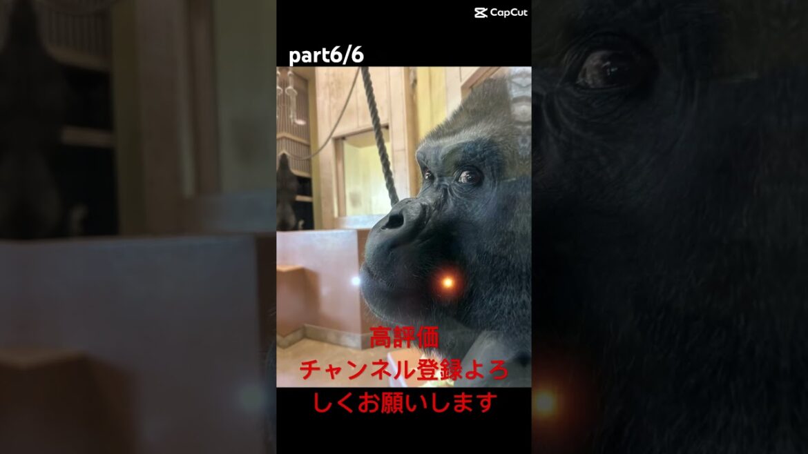 #地球娯楽#名古屋#動物園#家族 #animals #travel#nagoya