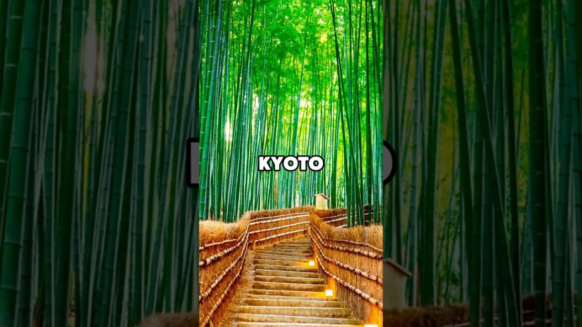 2 Places In Japan That Don't Feel Real! #japan #adventure #explore