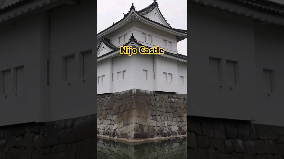 7 MUST VIST PLACES IN KYOTO, JAPAN TRAVEL VLOG, abroad in Japan, #japantravel #japan #kyoto #shorts 7 MUST VIST PLACES IN KYOTO, JAPAN TRAVEL VLOG, abroad in Japan, #japantravel #japan #kyoto #shorts