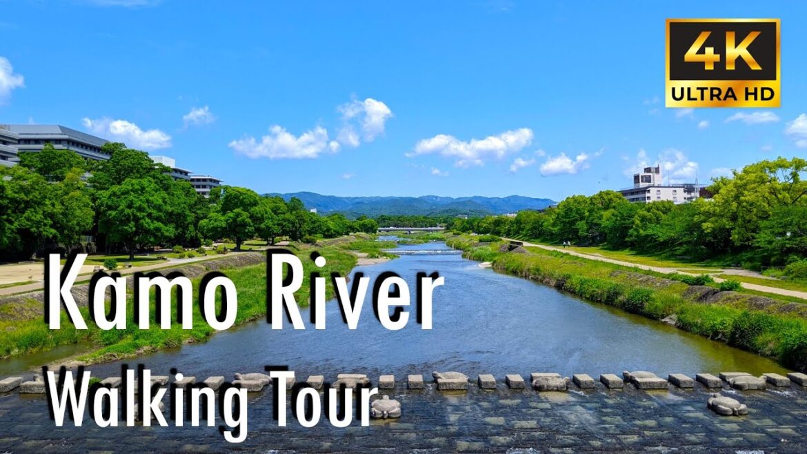 【4K】Kyoto, Japan Walking Tour | Kamogawa River Promenade 【4K】Kyoto, Japan Walking Tour | Kamogawa River Promenade