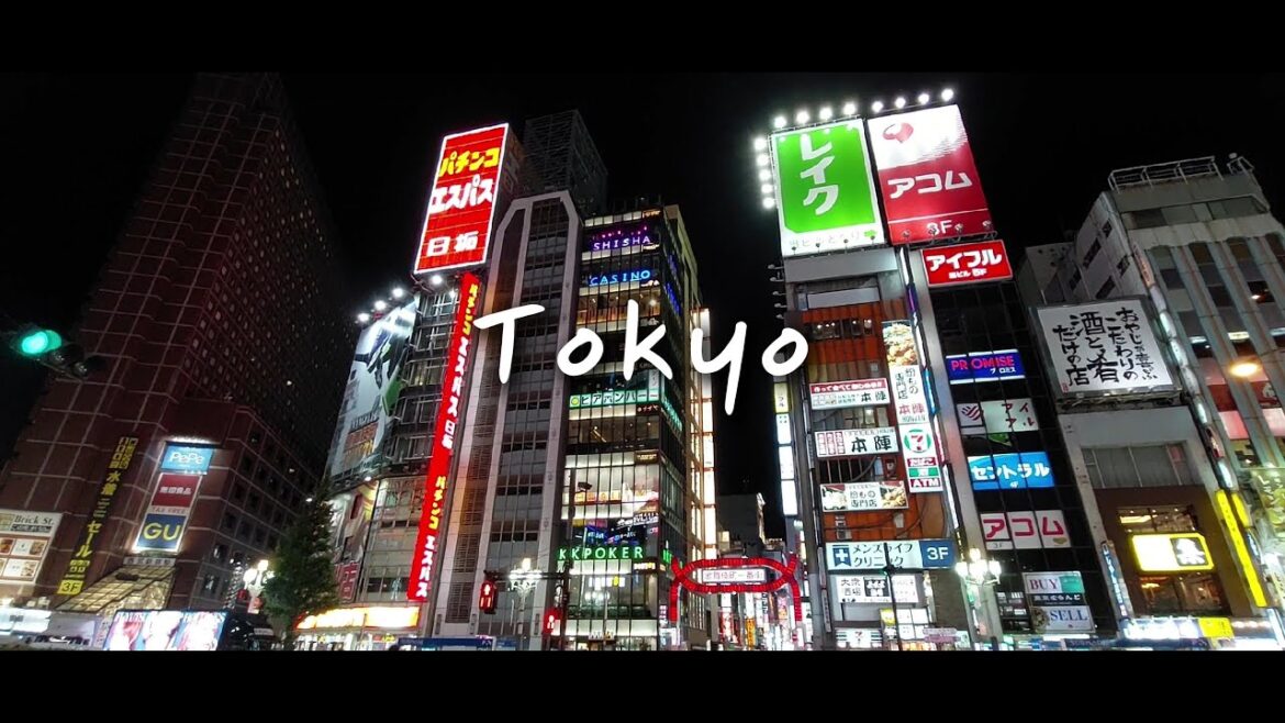 Tokyo Vlog: Shibuya & Shinjuku Highlights – Food and Fun! Tokyo Vlog: Shibuya & Shinjuku Highlights – Food and Fun!