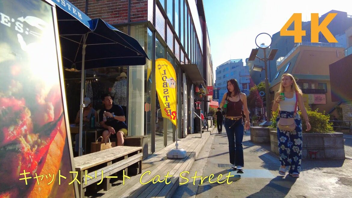 【4k】Tokyo walk-Cat Street😽原宿からキャットストリートを散歩