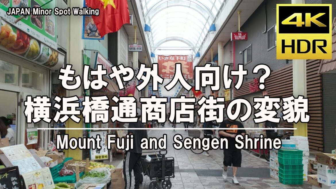 【4kHDR】 Japan travel - Walking along Yokohamabashi-dori Shopping Street in Bandobashi, Yokohama