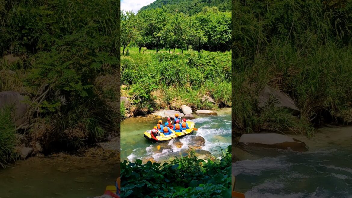 River Rafting || Oide Park Hakuba || Nagano 🇯🇵 #riverrafting#shorts#japan