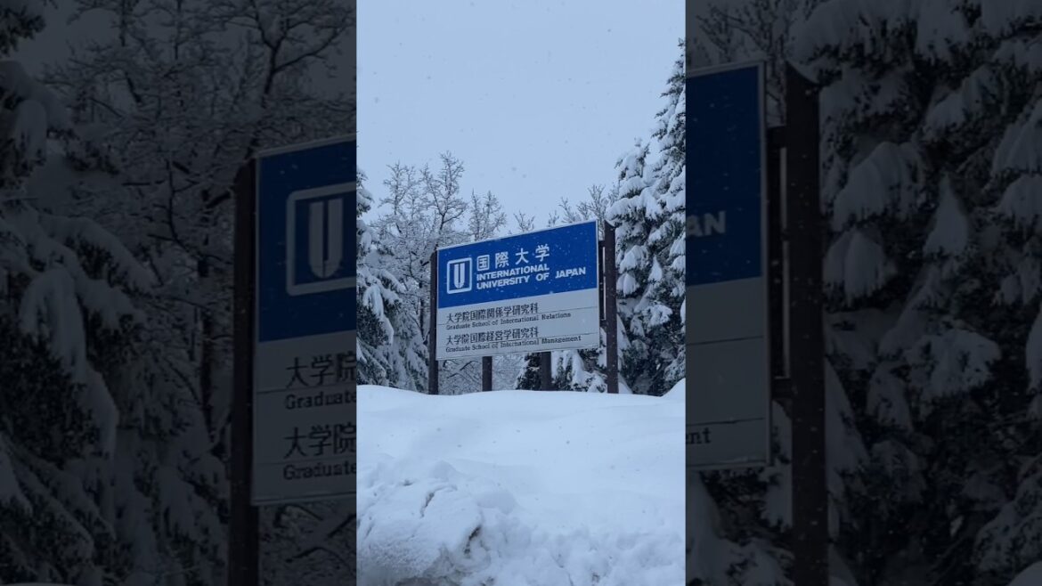 IUJ Snowy Entrance #japan #winter