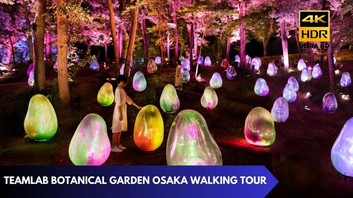 MAGICAL ENCHANTING FOREST! Teamlab Botanical Garden Osaka Walking Tour [4K60 HDR]