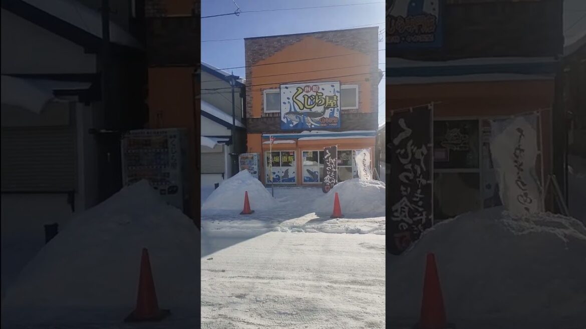 Travel Japan | Hakodate | Rare fish meat | Kujira aka Whale