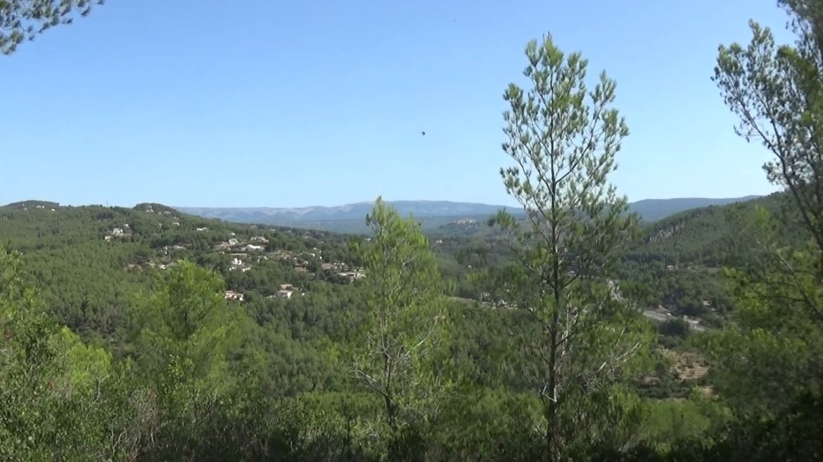 Vue du Macif boisé de la Provence, au sud de la France Vue du Macif boisé de la Provence, au sud de la France