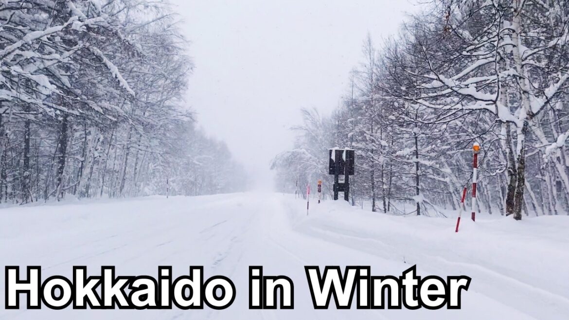 Hokkaido Winter Travel Vlog | 11 Days Road Trip EP1 | Sapporo, Lake Tōya, Hakodate, Otaru, Asahikawa Hokkaido Winter Travel Vlog | 11 Days Road Trip EP1 | Sapporo, Lake Tōya, Hakodate, Otaru, Asahikawa