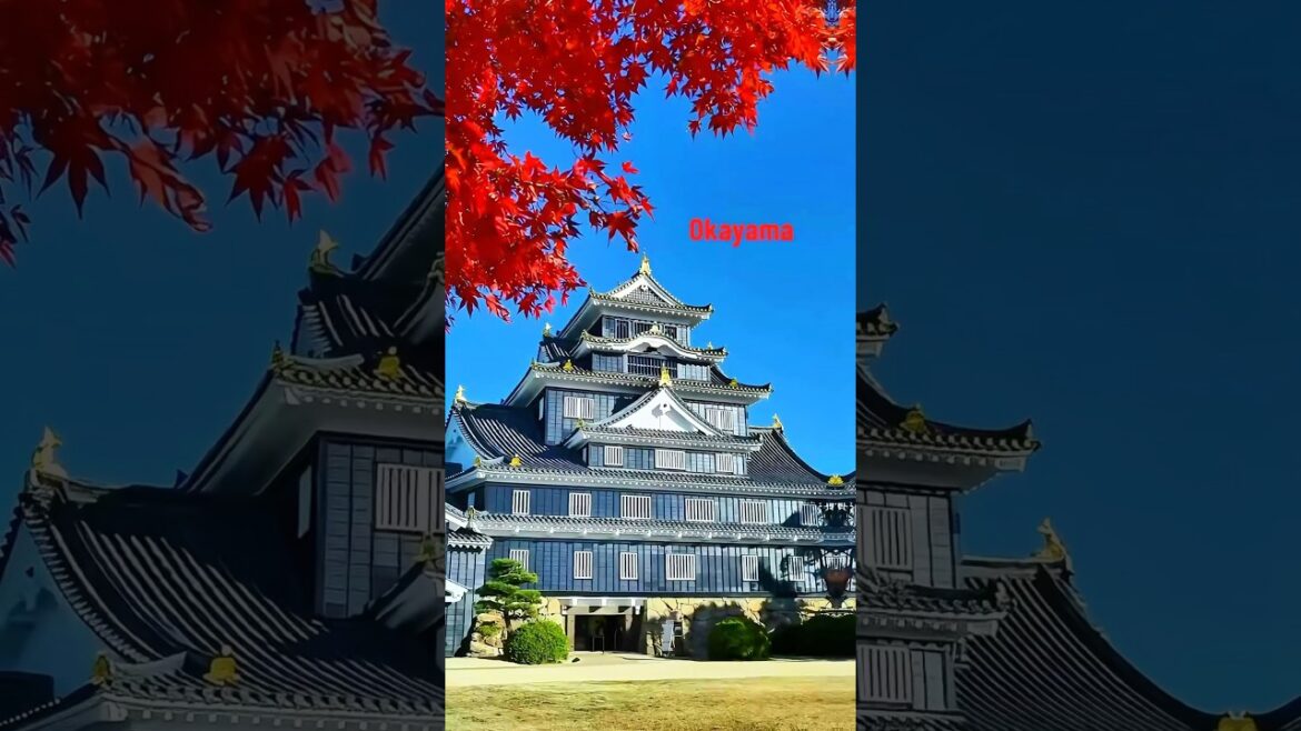 Japanese castles #japan #travel #japantravel #castle #japanesecastle