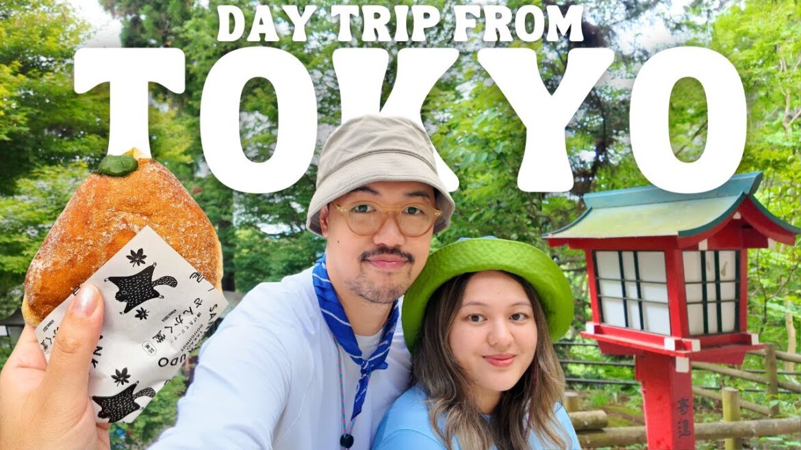 Tokyo’s Best Nature Trip: Mount Takao π―π΅ Hiking in Japan, Day Trip from Tokyo, Japan Vlog 2024 Tokyo's Best Nature Trip: Mount Takao π―π΅ Hiking in Japan, Day Trip from Tokyo, Japan Vlog 2024
