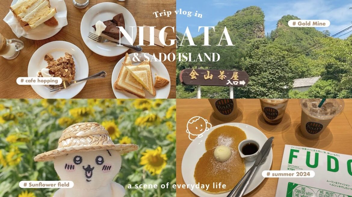 ［ Trip vlog ］時間を忘れて心穏やかに過ごす新潟•佐渡旅🪿🌾心の余裕を取り戻す大人の夏休み🎐|世界遺産•佐渡金山|花火大会|佐渡カフェetc..