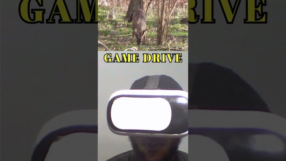 Dangerous Hobby Wild Animal Encounters Game Drive with VR Headset Dangerous Hobby Wild Animal Encounters Game Drive with VR Headset