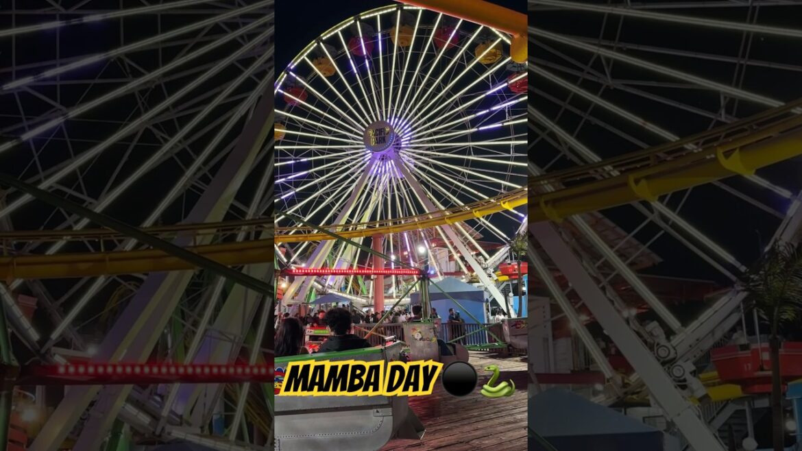 8/24 Mamba Day Kobe Bryant Tribute ⚫️🐍