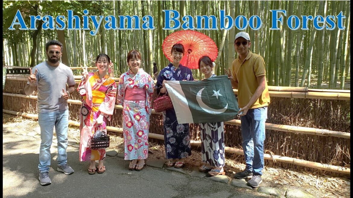 Kyoto’s Arashiyama Bamboo Forest: Everything You Need to Know Before You Go (2024) | JAPAN Travel