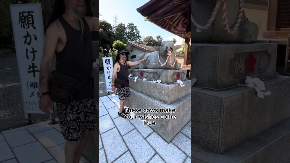 Visiting Mitsuke shrine in Iwata Shizuoka Japan