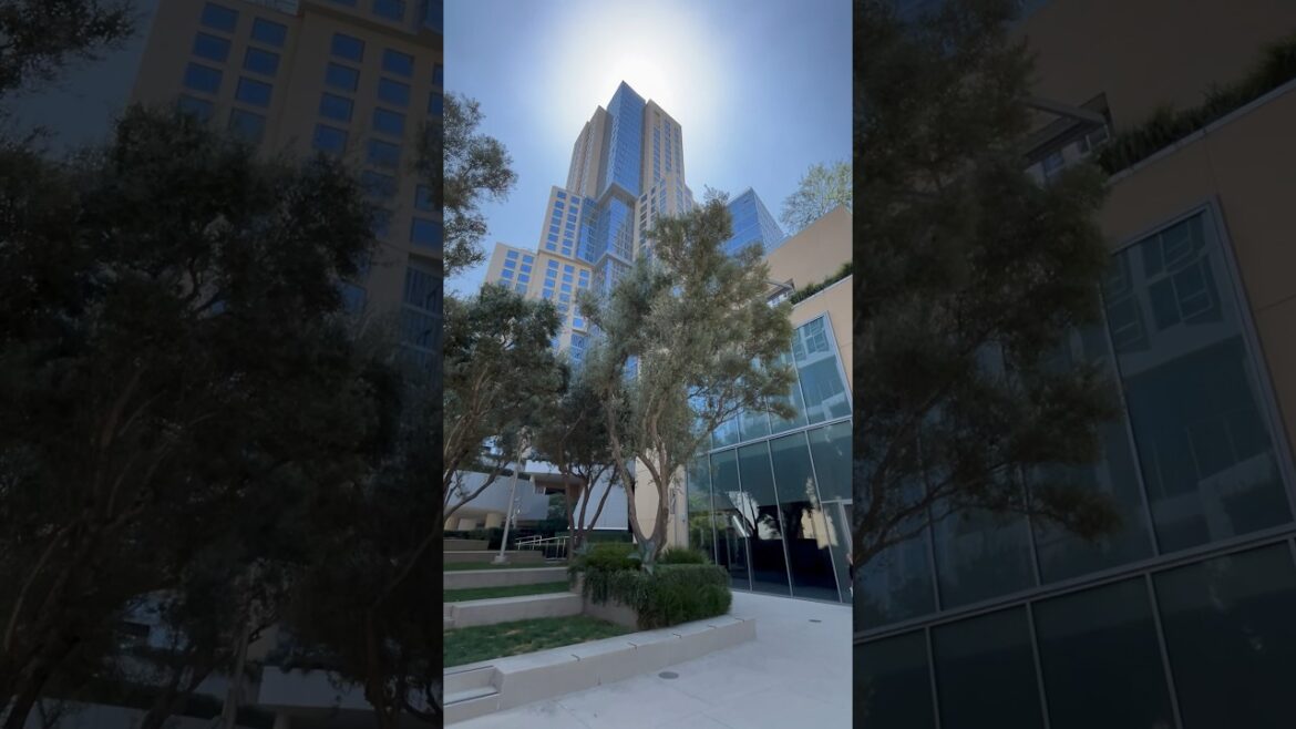 Down Town LA🇺🇸 #youtubeshorts #travel Down Town LA🇺🇸 #youtubeshorts #travel