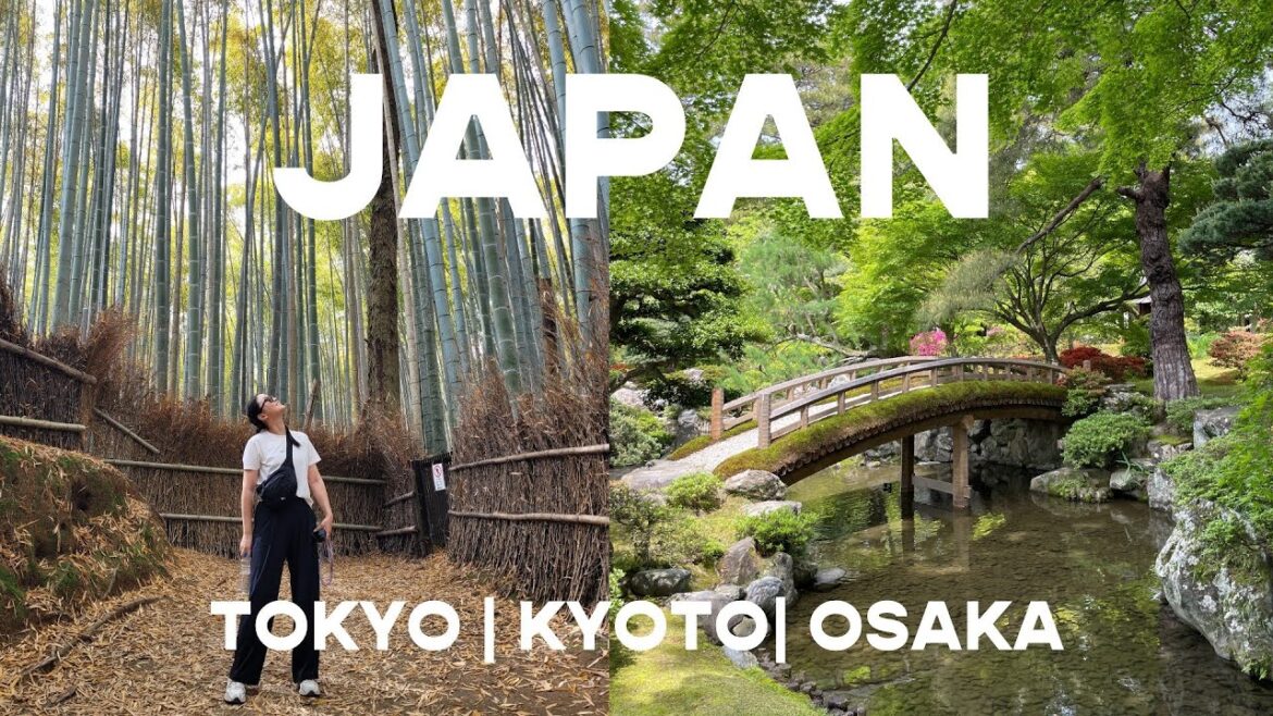 Japan Travel Guide | Tokyo, Kyoto, and Osaka