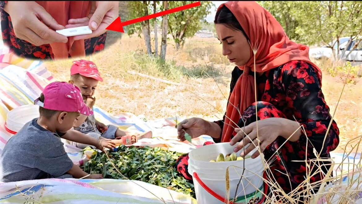 Hard work and unexpected news: Is Shahrabano pregnant? Hard work and unexpected news: Is Shahrabano pregnant?