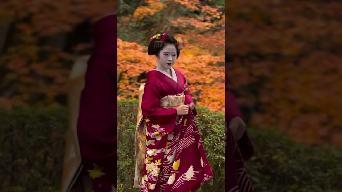 Japan travel: Autumn 🍁 is near, are you set?