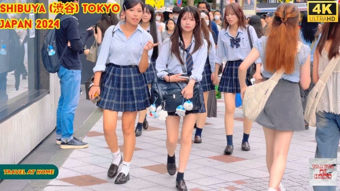 4k hdr Japan travel 2024 | Walk in Shibuya (渋谷) Tokyo Japan |  Relaxing Natural City ambience