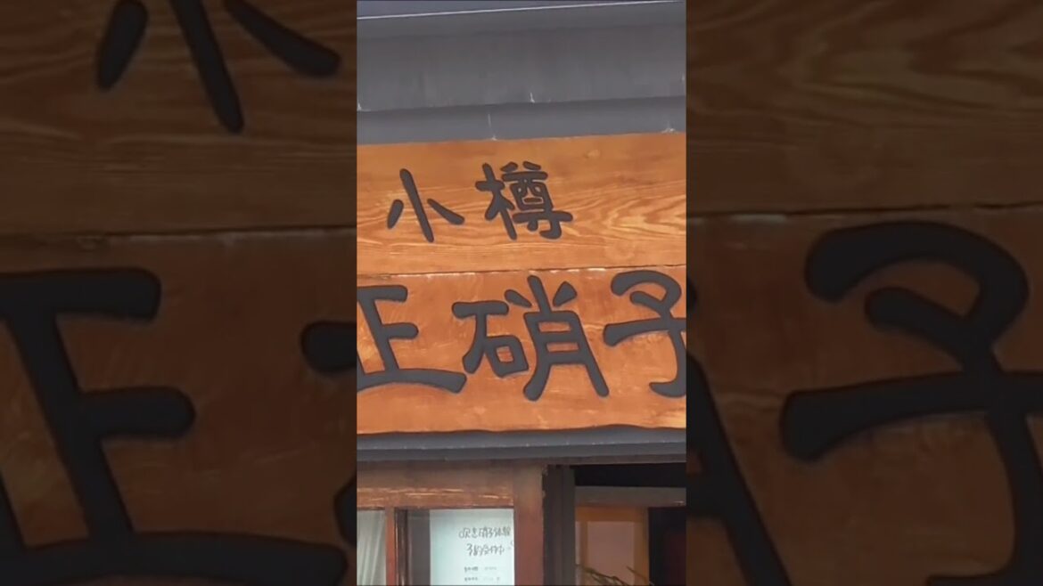 小樽　北海道　 #shorts   #hokkaido  #北海道 　#新日本海フェリー　#らいらっく　#すいせん　＃すずらん　＃はまなす　#otaru  #小樽　#小樽運河　＃Japan