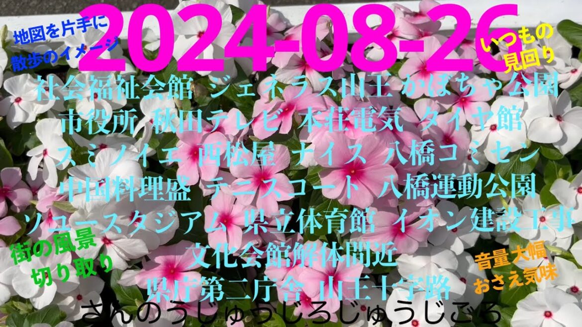 2024-08-26さんのうじゅうじろじゅうじごろ