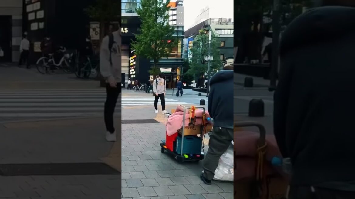 Walking Through Tokyo, Japan – Travel Video 2024 Walking Through Tokyo, Japan - Travel Video 2024