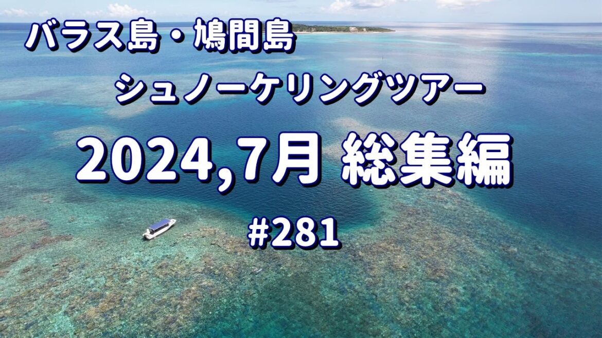 2024年7月の海の様子をまとめました。 2024年7月の海の様子をまとめました。