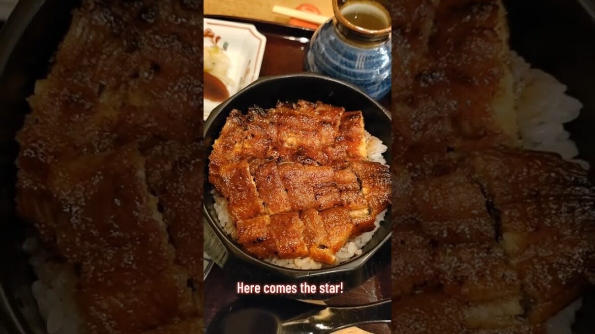Nagoya specialty - Unagi Hitsumabushi at Bincho! #japanesefood #food #nagoya #unagi #bincho #travel