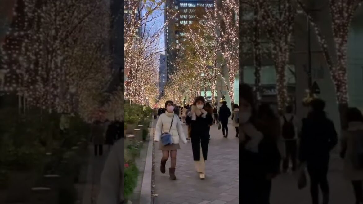 Walking Through Tokyo, Japan – Travel Video 2024 Walking Through Tokyo, Japan - Travel Video 2024