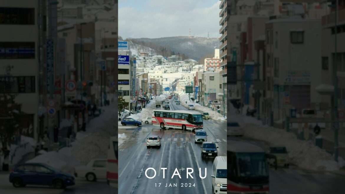 Daily Life in Otaru #shortvideo #shortsfeed #shorts #short