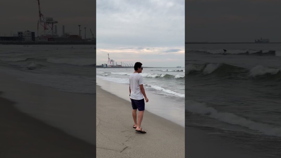এই সাগর পাড়ে আইসা আমার মাতাল মাতাল লাগে ।     #japan #travel #sendai #nature #shortsvideo